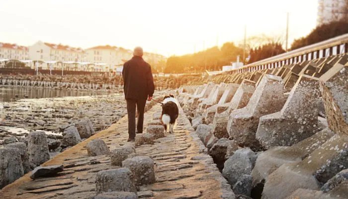 诸事不宜的日子好不好 诸事不宜是什么意思