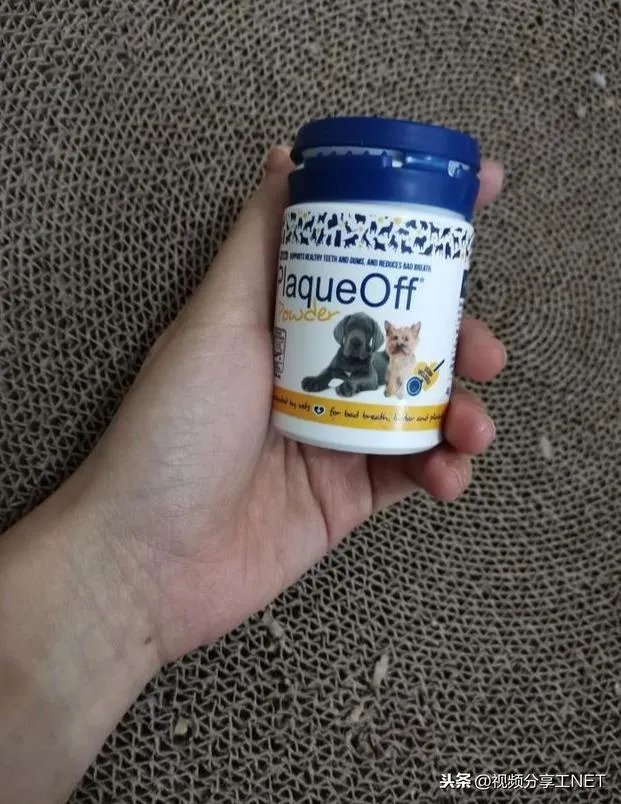 有没有比较好的猫粮推荐一下？