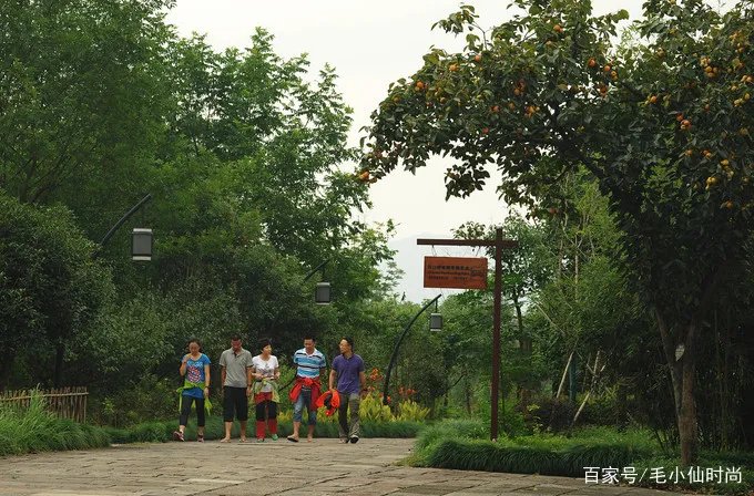 西溪湿地·洪园怎么逛？