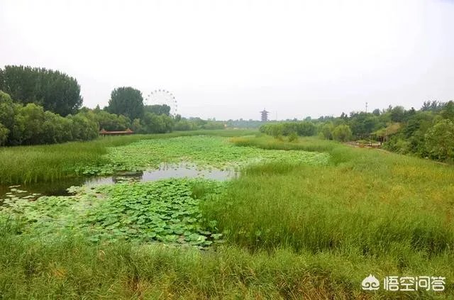 潍坊湿地公园在哪里？有多大？