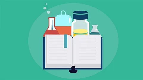 女人气虚吃什么补最快