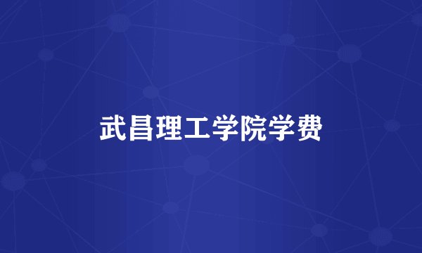 武昌理工学院学费