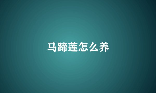马蹄莲怎么养