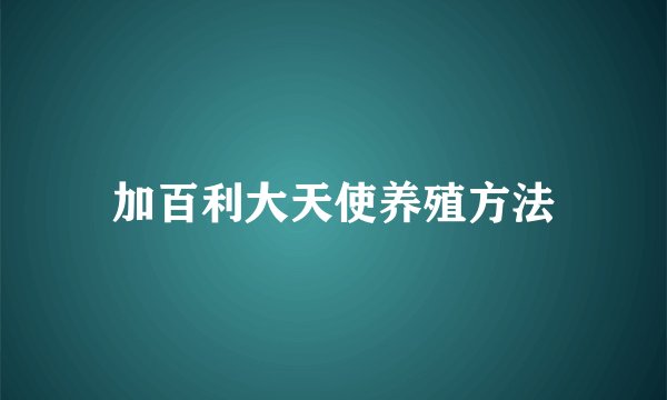 加百利大天使养殖方法