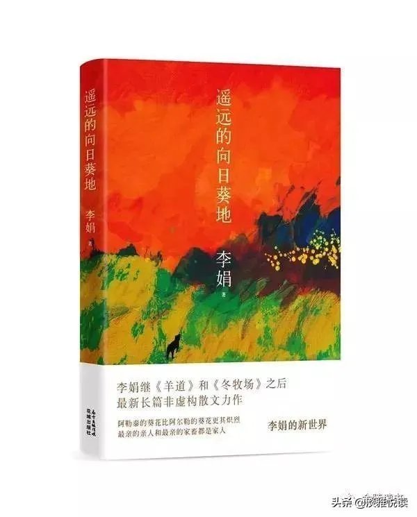 李娟的散文特别好，谁能说说她散文的特点是怎样的？