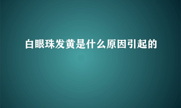 白眼珠发黄是什么原因引起的
