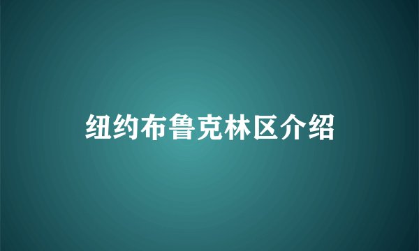 纽约布鲁克林区介绍