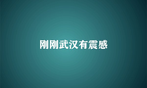 刚刚武汉有震感