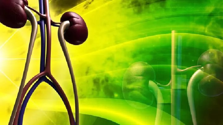 肾脏B超检查 意义重大
