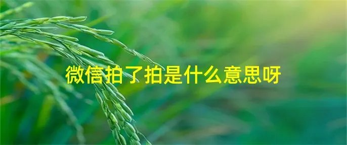 微信拍了拍是什么意思呀