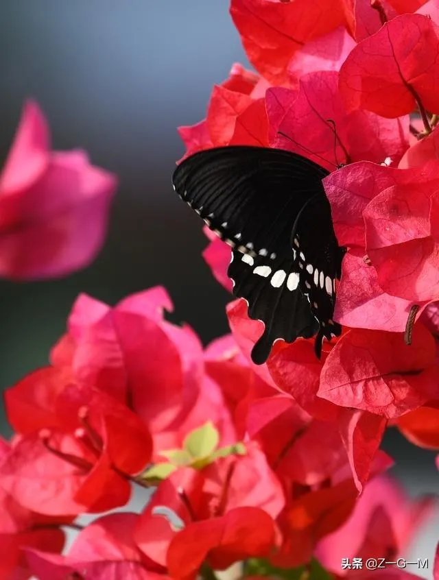 双耳节拍是否有助于改善情绪？