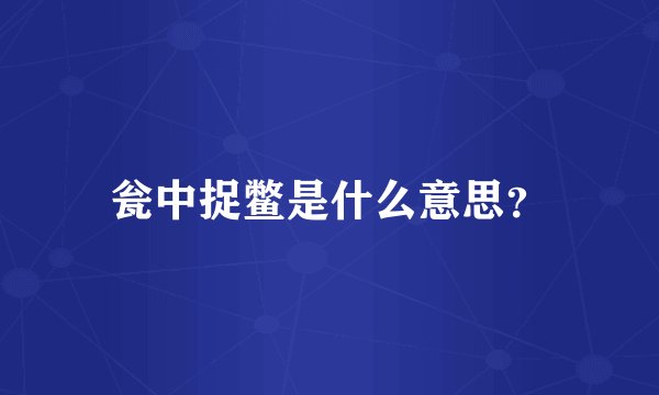 瓮中捉鳖是什么意思？