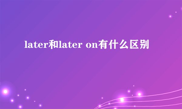 later和later on有什么区别