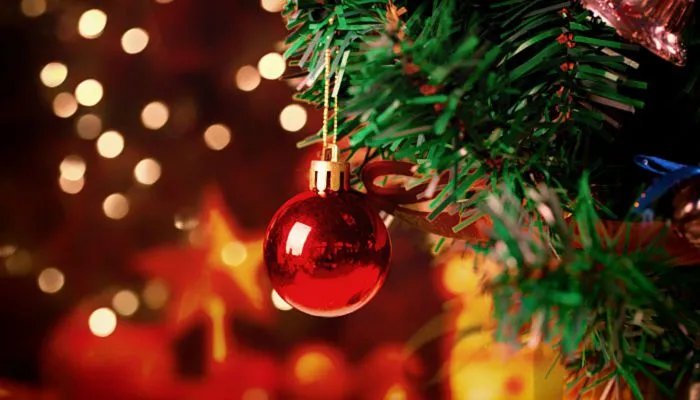 2022年美国圣诞节放假吗