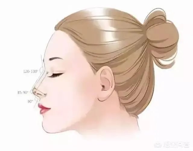 做鼻子整形大约要多少钱？