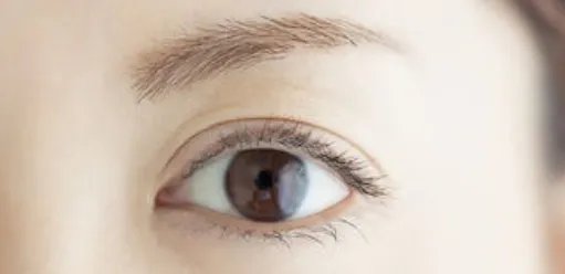 双眼皮修复哪个医生得好？