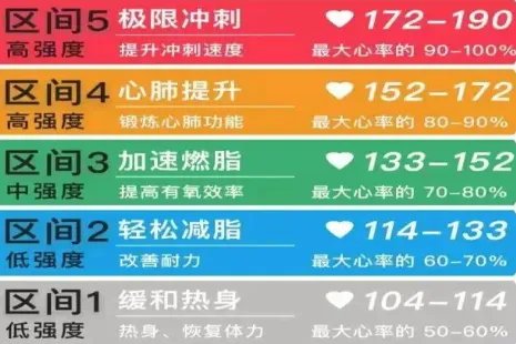 心率区间划分图