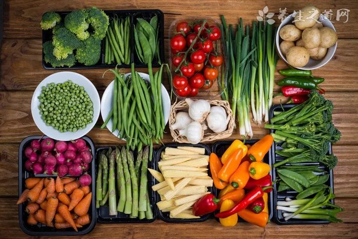 车前草功效有哪些