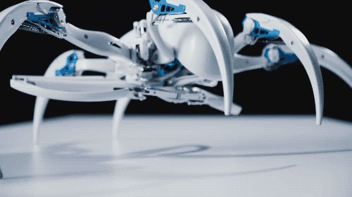 干掉人类的会是它们吗?2019全球最强9大超级仿生机械!