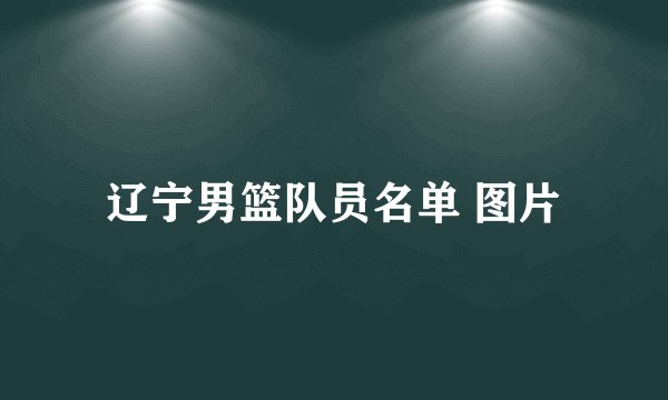 辽宁男篮队员名单 图片