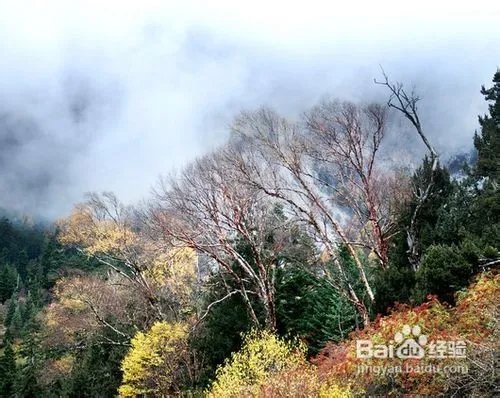 四川九寨沟旅游攻略大全