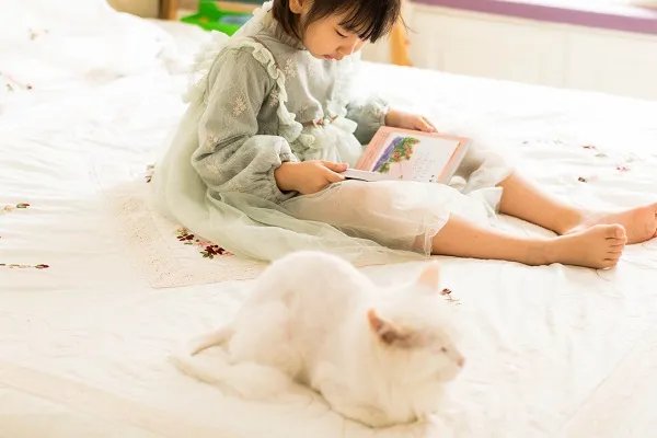 什么是声母和韵母 声母和韵母是什么意思