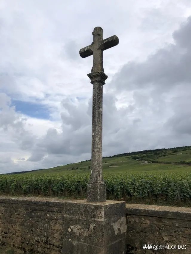 世界上最贵的红酒是什么牌子的？