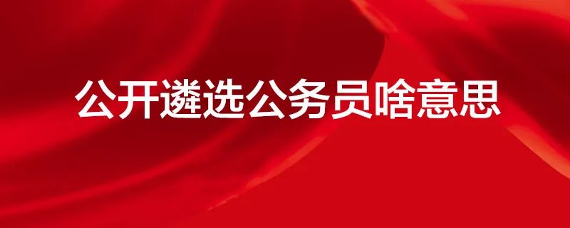 公开遴选公务员啥意思