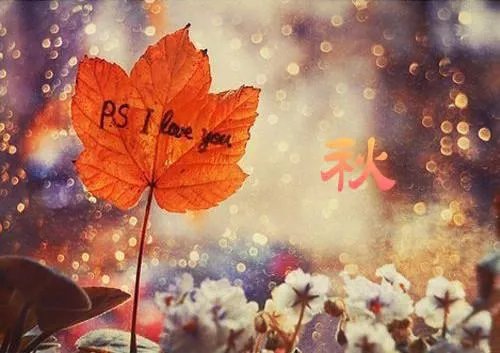 不喜欢我而已(陈秋周倦)全文小说全章节阅读