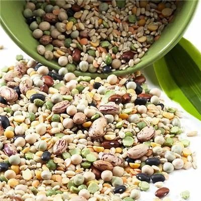 小孩多动症能吃倍力健吗