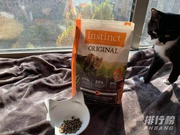 猫粮什么牌子好又便宜_猫粮哪个牌子质量好性价比高