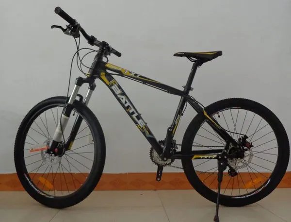 2020自行车品牌排行榜_十大自行车品牌大全