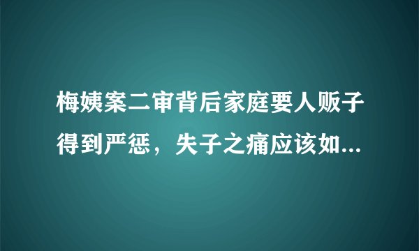 梅姨案二审背后家庭要人贩子得到严惩，失子之痛应该如何谅解？