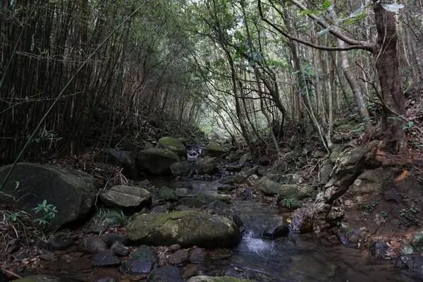 请问，惠州象头山好玩吗？具体位置在哪里呢？