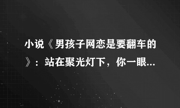 小说《男孩子网恋是要翻车的》：站在聚光灯下，你一眼就能找到我