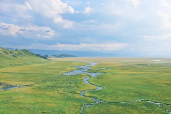 野火烧不尽,春风吹又生这句话赞美了什么