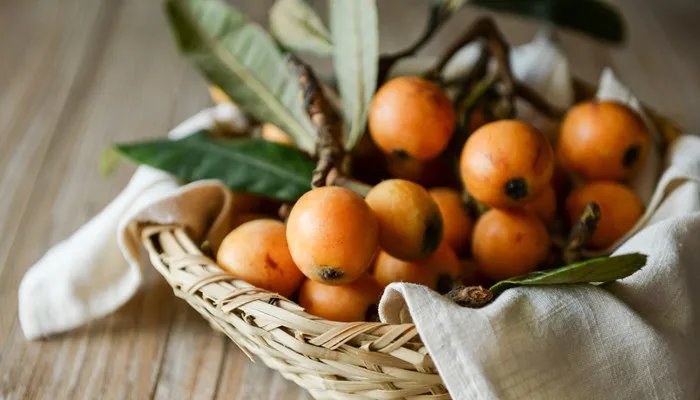 中国枇杷之乡位于哪里 中国枇杷之乡在哪里