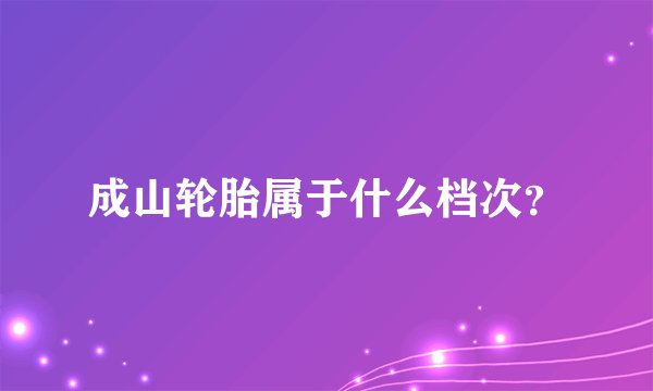 成山轮胎属于什么档次？