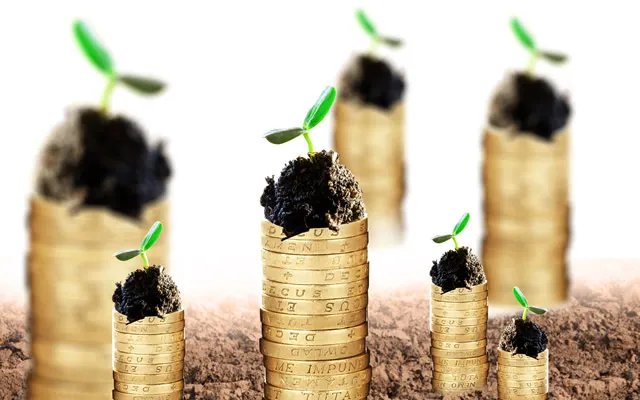 风险投资公司是怎么运作的 风险投资包括哪些种类