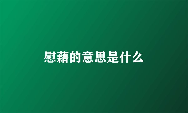 慰藉的意思是什么