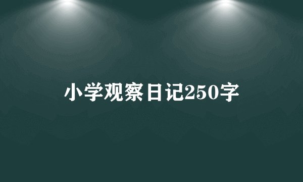 小学观察日记250字