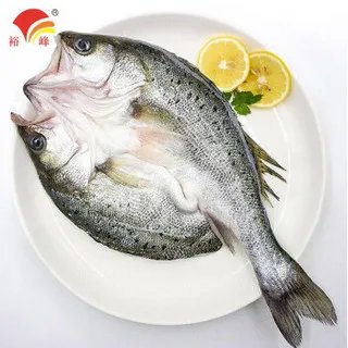 海鲈鱼价格多少钱一斤