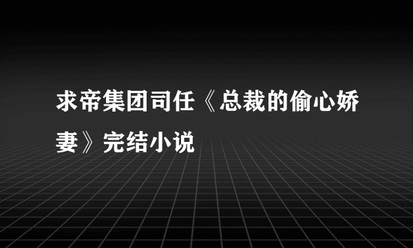 求帝集团司任《总裁的偷心娇妻》完结小说