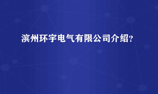 滨州环宇电气有限公司介绍？