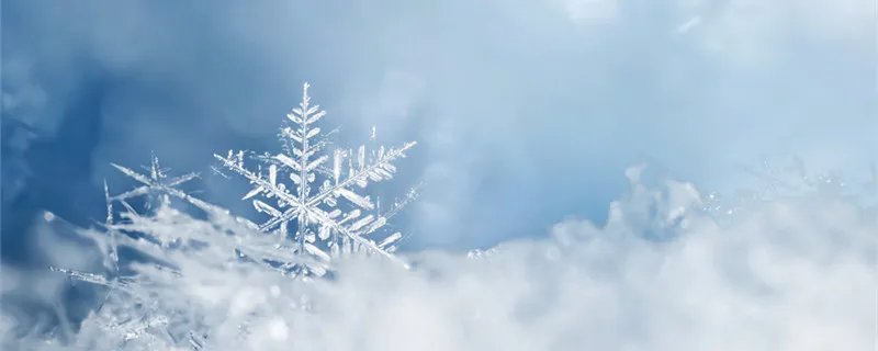 广厦学院哈尔滨是几本