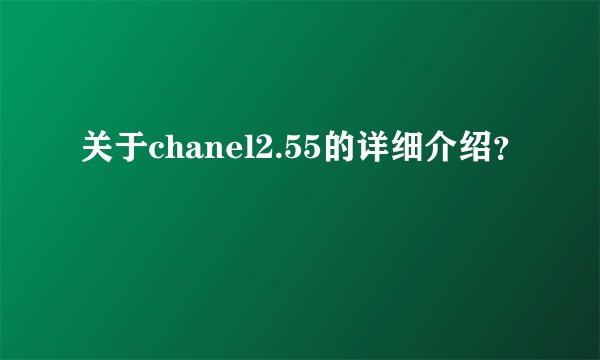 关于chanel2.55的详细介绍？