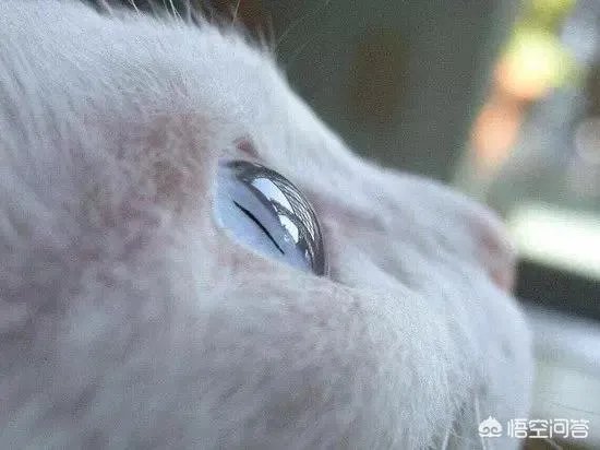 大家都用什么类型的微信头像?