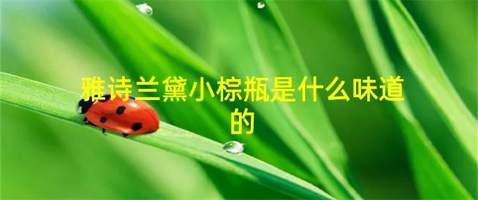 雅诗兰黛小棕瓶是什么味道的