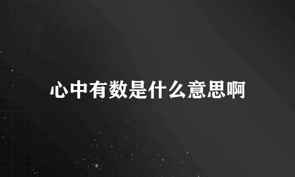 心中有数是什么意思啊
