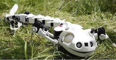 干掉人类的会是它们吗?2019全球最强9大超级仿生机械!